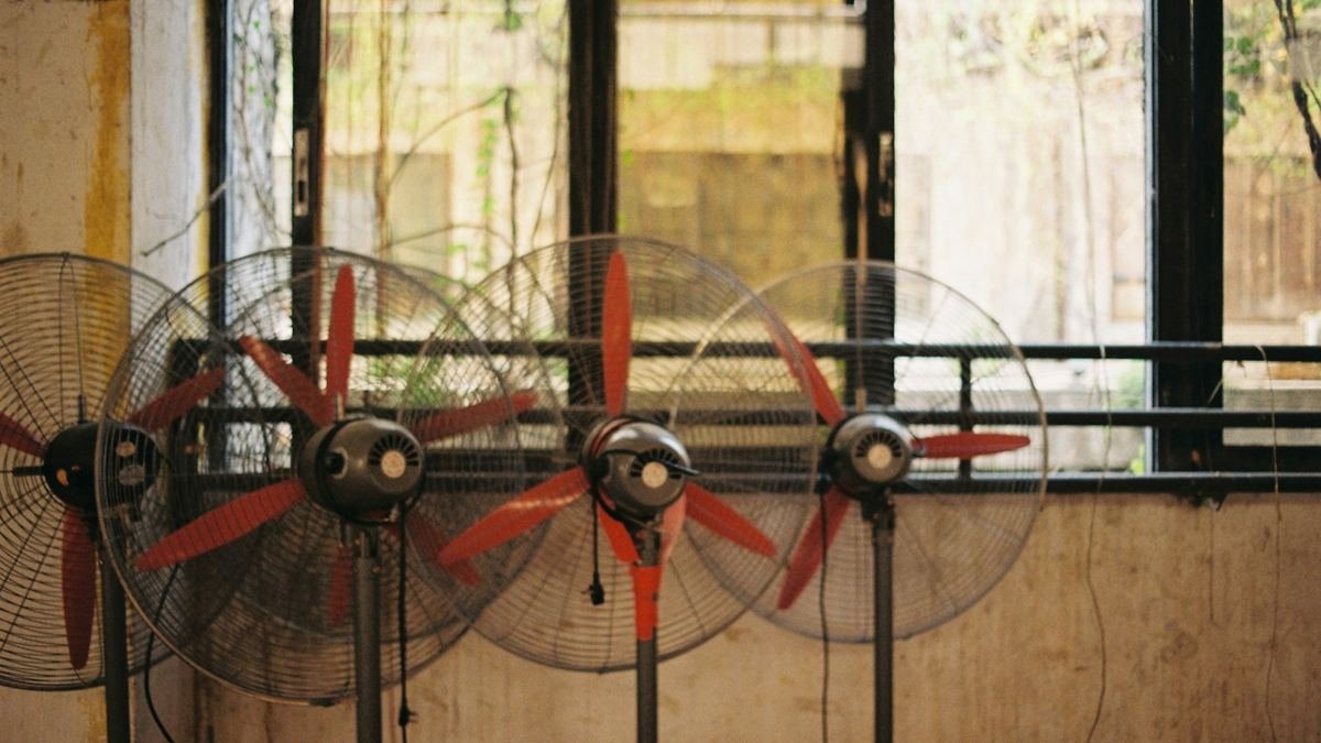 Row of drying fans in front of a window